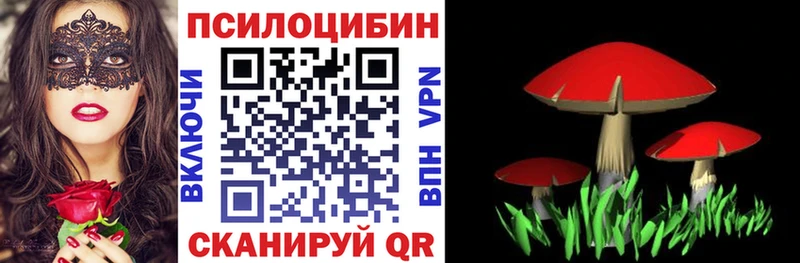 Псилоцибиновые грибы MAGIC MUSHROOMS  Купить где  Гороховец 